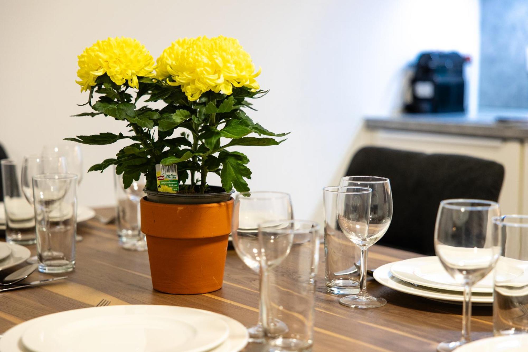 Myapartments Vienna Rooftop מראה חיצוני תמונה